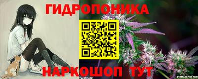 амф Ликино-Дулёво