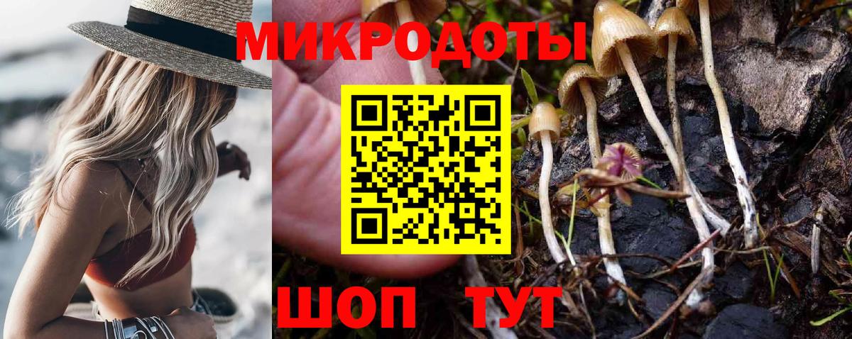 Галлюциногенные грибы Cubensis Мончегорск