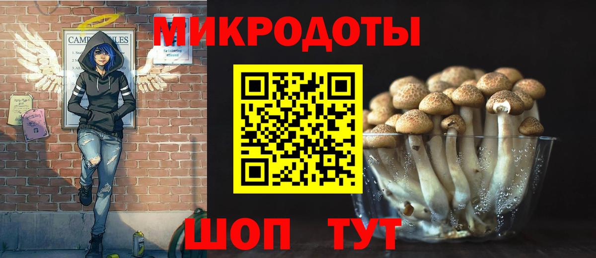 Мончегорск  Галлюциногенные грибы ЛСД  Вход с VPN  Галлюциногенные грибы Psilocybe 